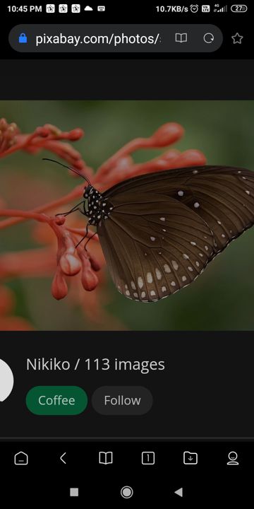 coveImg