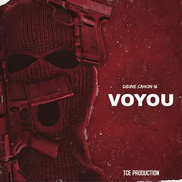Voyou-cover