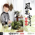 双面多情-cover
