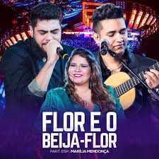 Flor e o Beija-Flor-cover