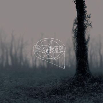 Di Domenica-cover