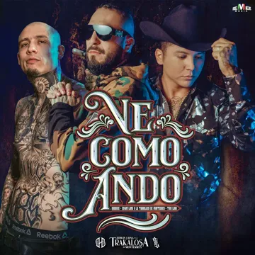 Ve Como Ando-cover