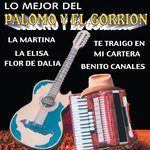 Pavido Navido-cover