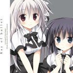 Ray of bullet(tiny ver.)-cover