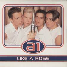 Like a Rose -cover