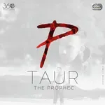 Taur-cover