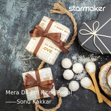 Mera Dil Bhi Kitna Pagal-cover