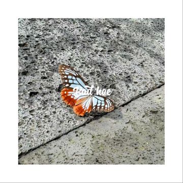 BAD HOE-cover