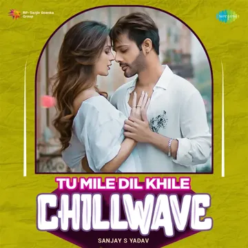 Tu Mile Dil Khile - Chillwave-cover