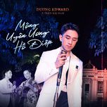 Mộng Uyên Ương Hồ Điệp-cover