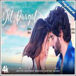 Dil Paagal-cover