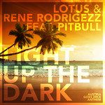 Light Up The Dark (feat. Pitbull)(Extended Mix)-cover