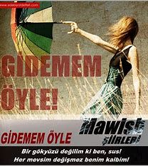 Gidemem-cover