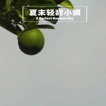 Loop-cover