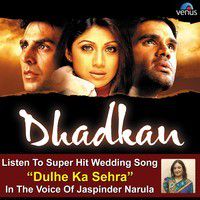 Tum Dil Ki Dhadkan Mein (Short Ver.)-cover