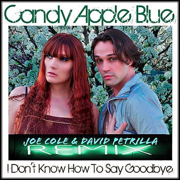 No Goodbyes-cover