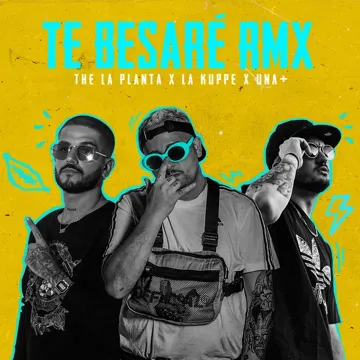 Te Besaré-cover