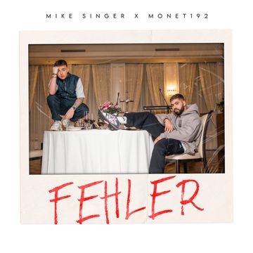 Fehler-cover