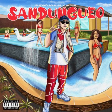 Sandungueo-cover