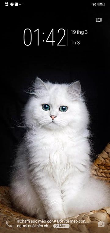 coveImg