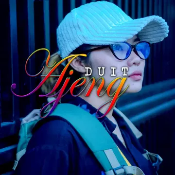 Duit-cover