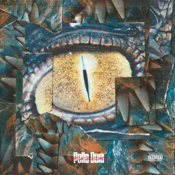 Pelle dura-cover