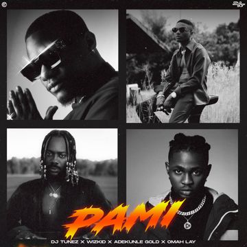 PAMI-cover
