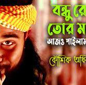 বন্ধু রে তোর মন আজো পাইলাম না