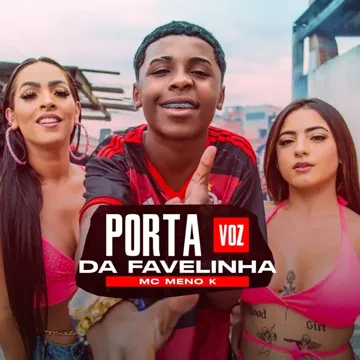 Vou Te Botar-cover