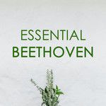 Beethoven: 25 Scottish Songs, Op. 108 - 1. Music, Love and Wine-cover
