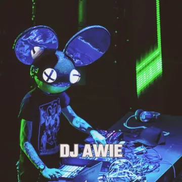 DJ ADA GAJAH DI BALIK BATU-cover