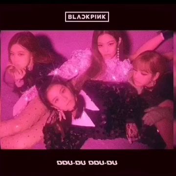 kaya-kuma-4d-jp-cover-image