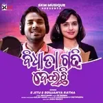 Bidhata Gadhideichi-cover