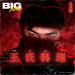 我的路，我的步-cover