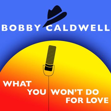 What You Won't Do For Love-cover