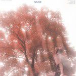Muse-cover
