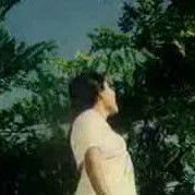 Puhoniya soraiti urile