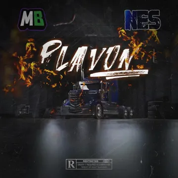 Plavon-cover