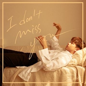 I Don't Miss You-cover