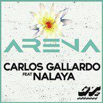 Arena-cover