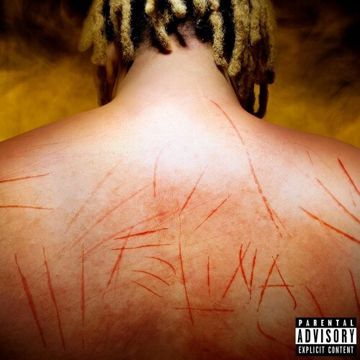 Felina-cover
