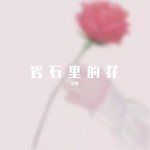 岩石里的花-cover