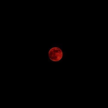 moonlight.-cover