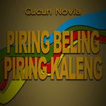 coveImg