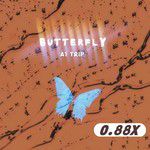 Butterfly(0.88降速版)-cover