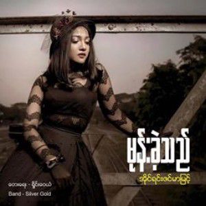 မုန္းခဲ့သည္-cover