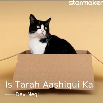 Is Tarah Aashiqui Ka-cover