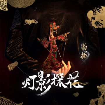 灯影探花 (伴奏)-cover