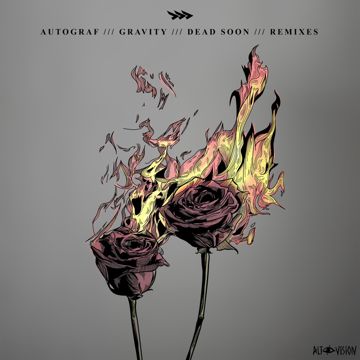 Gravity (Flyboy Remix)-cover