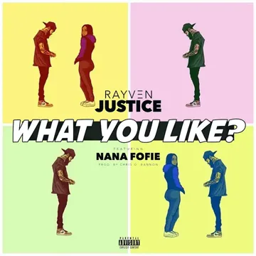 What You Like (feat. Nana Fofie)-cover